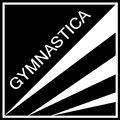 Mission – To provide a quality GymSports experience for all